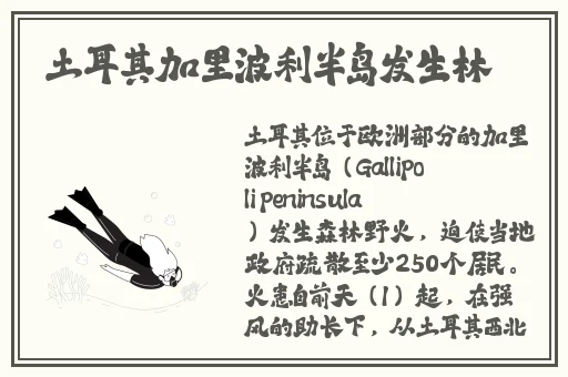国模沈娜娜大胆人体1080p
